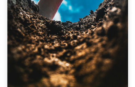 名言 | 老子：天下難事，必作于易；天下大事，必作于細(xì)