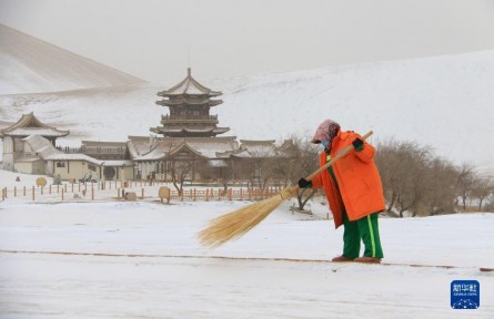 寒潮來襲降溫劇烈 農(nóng)業(yè)專家提示做好應對