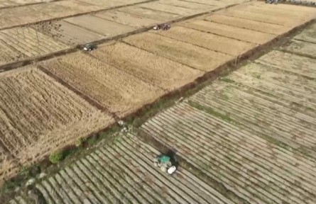 江西：開(kāi)展農(nóng)田建設(shè)和土壤修復(fù) 夯實(shí)糧食耕作基礎(chǔ)