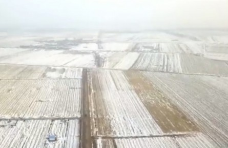 吉林：實(shí)行田長制 讓每一塊耕地都有守護(hù)人