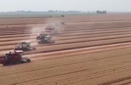 我國(guó)糧食機(jī)收減損取得積極進(jìn)展