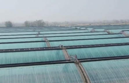 應(yīng)對寒潮 沿海各地多措施保生產(chǎn)