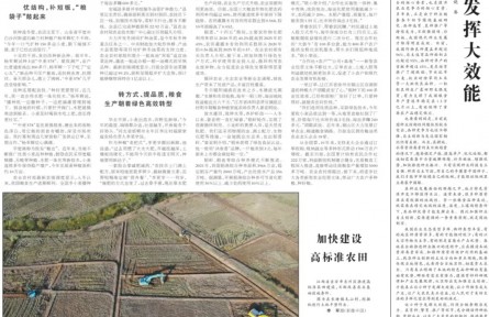 優(yōu)化結(jié)構(gòu)、轉(zhuǎn)變方式、暢通銷路 各地穩(wěn)產(chǎn)優(yōu)產(chǎn)舉措讓種糧更有奔頭