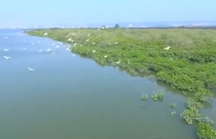 多樣的生物 多樣的精彩：生物多樣性為什么那么重要？