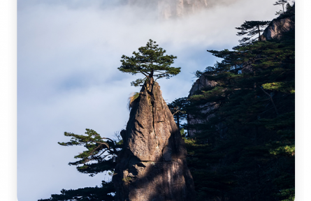 王勃：老當(dāng)益壯，寧移白首之心；窮且益堅，不墜青云之志