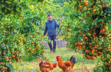 助農(nóng)暢通產(chǎn)運銷