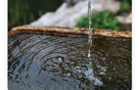 名言 | 荀子：真積力久則入，學(xué)至乎沒而后止也