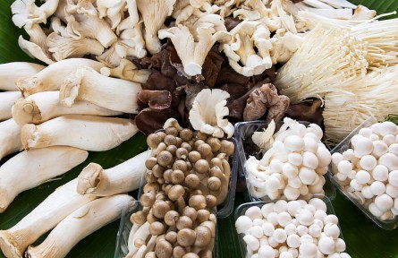 辟謠 | 市場上買的蘑菇真有甲醛嗎？