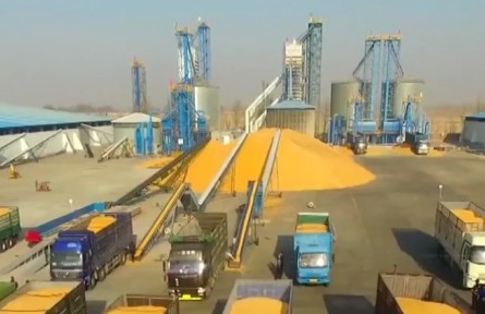 我國秋糧收購進(jìn)入高峰 進(jìn)展總體順利