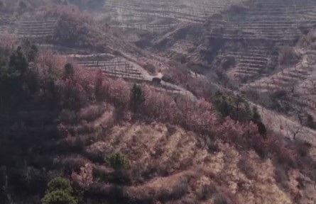 【新時代新征程新偉業(yè)】遼寧:北河村的鄉(xiāng)村振興之路