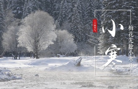 小寒，梅花先趁小寒開