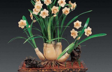 如何防止水仙花葉子長(zhǎng)得太高？