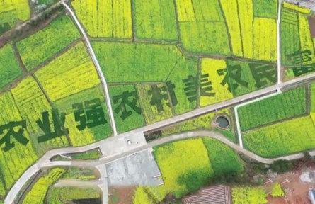 理響巴蜀|領(lǐng)會(huì)精神化動(dòng)力 鄉(xiāng)村振興譜華章