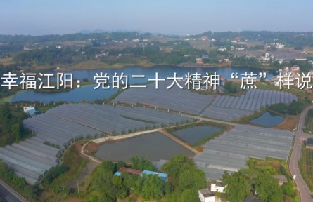 理響巴蜀|黨的二十大精神“蔗”樣說