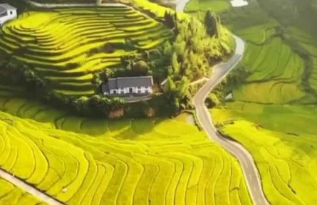 【穩(wěn)經(jīng)濟 促發(fā)展 強信心·權威訪談】全力以赴端牢端穩(wěn)中國飯碗