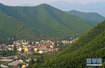 “為什么說綠水青山就是金山銀山？”