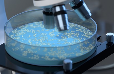 科技名詞 | 霉菌  mold，mould