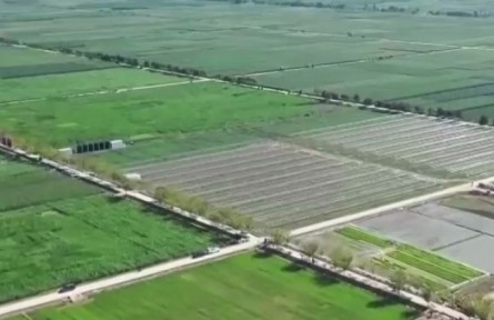 2022年我國現代農業(yè)發(fā)展持續(xù)深入