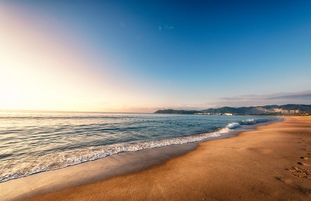 科技名詞 | 潮上帶  supralittoral zone，supratidal zone