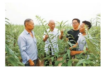 “中國好人”劉世揚：我這輩子，就做育種一件事