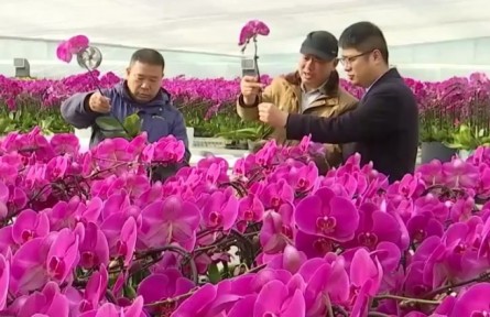 我國“一村一品”示范村鎮(zhèn)累計達(dá)到4068個