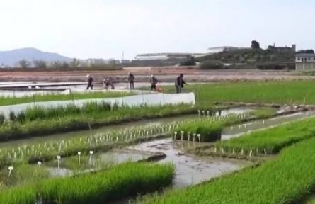 【新思想引領(lǐng)新征程】全方位夯實(shí)糧食安全根基