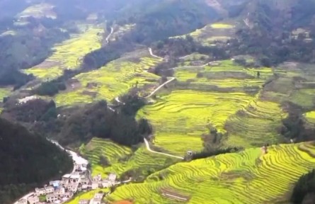 【新思想引領(lǐng)新征程】搶抓農(nóng)時(shí)備春耕 全力以赴提升糧食產(chǎn)能