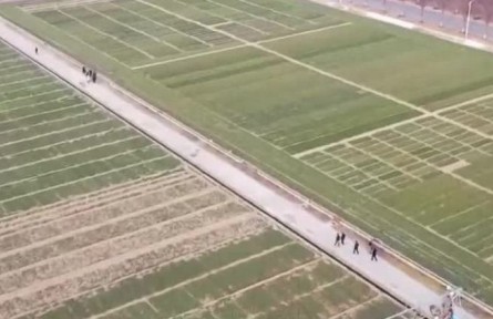 全國春耕備耕工作陸續(xù)展開 春耕里的“數(shù)字麥田”