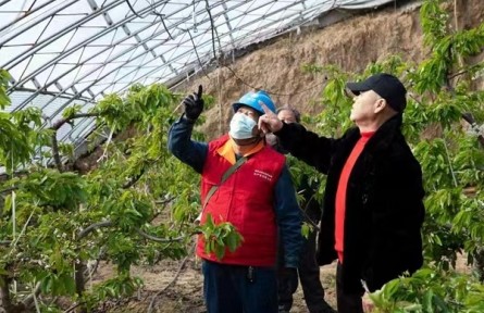 陜西渭南：“紅馬甲”保駕護航春耕生產