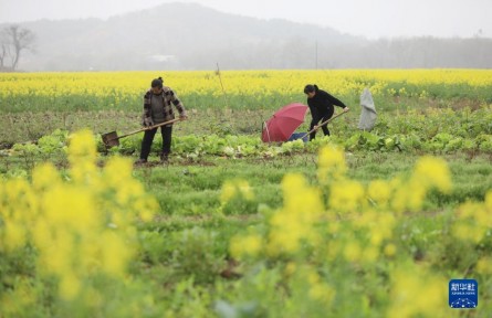 春來農(nóng)事忙
