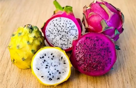 物種故事 | 量天尺：緣何能“量天”？