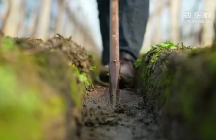 春耕春管忙 下好農業(yè)生產(chǎn)“先手棋”