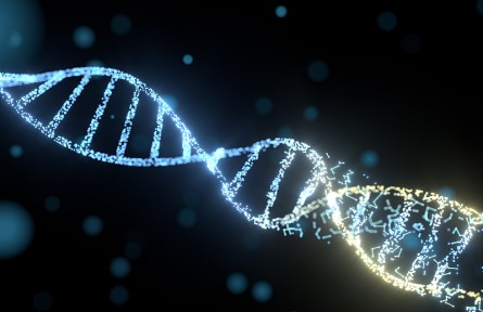 科技名詞 | 顆粒遺傳  particulate inheritance