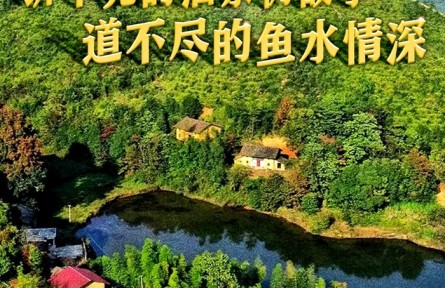 十年兩會(huì)·溫暖記憶｜“講不完的油茶樹故事，道不盡的魚水情深”