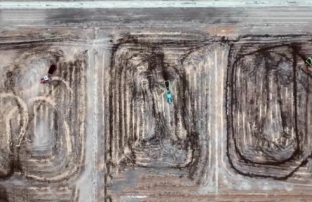 葛艷?。翰幻胤N水稻 鹽堿地飄出稻花香