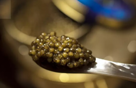 25萬一勺魚子醬，為何到中國淪為“白菜價”？外媒：你們“毀”了它