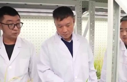 我從基層來·全國人大代表聶守軍 推動(dòng)“鹽堿地”變“產(chǎn)糧地”