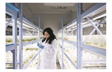 厚植沃土，為創(chuàng)新發(fā)展注入人才動(dòng)力