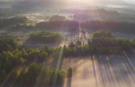 中國的植樹能力有多強？