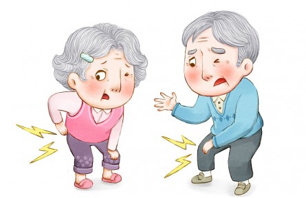 科技名詞 | 骨質(zhì)疏松  osteoporosis，OP