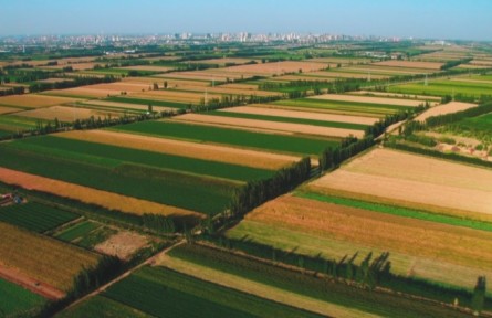 新疆兵團：加強高標準農(nóng)田建設(shè) 推進農(nóng)業(yè)現(xiàn)代化