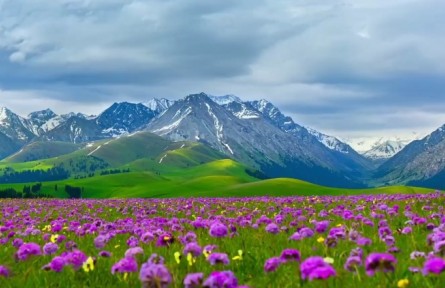 春來(lái)中國(guó) 每一幀都美成了壁紙