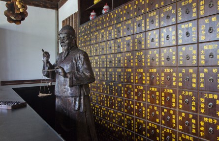 科技名詞 | 金匱要略 Jingui Yaolüe，Synopsis of Golden Chamber