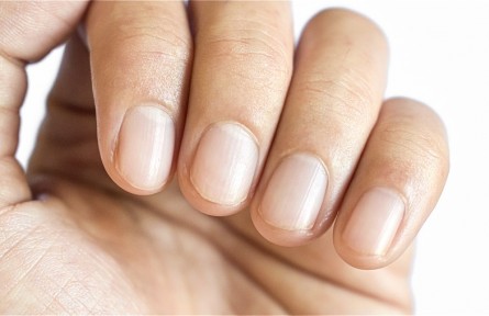 辟謠 | 指甲有豎紋，就是不健康？——指甲與健康