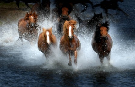中國(guó)·內(nèi)蒙古印象”攝影展即將在京開(kāi)展
