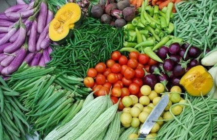 中荷無土栽培技術(shù)培訓班（每月一期，預約報名）