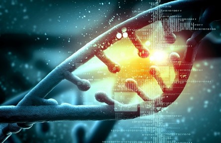 科技名詞 | 多基因?qū)W說(shuō) polygenic theory