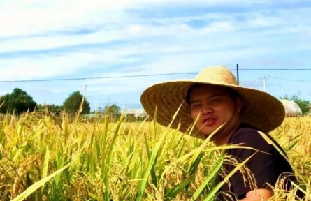 哈工大博士生曾德永“種水稻”，種上天了！