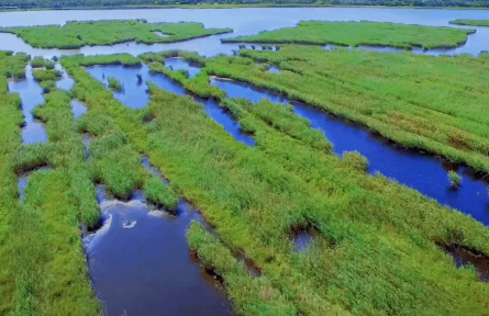 天津?qū)幒樱簢覞竦嘏习嬴B翔集稻蟹香 未來科技城產(chǎn)業(yè)集聚蓄動(dòng)能