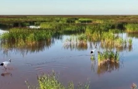 母親河生機(jī)勃勃 黃河禁漁專項(xiàng)執(zhí)法行動(dòng)啟動(dòng)